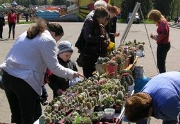 Выставка 19-20 апреля 2008 (Одесса)