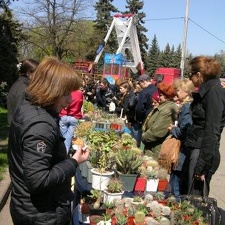 Выставка 19-20 апреля 2008 (Одесса)
