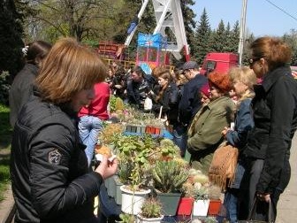Выставка 19-20 апреля 2008 (Одесса)