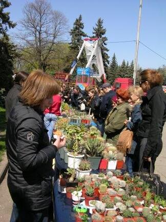 Выставка 19-20 апреля 2008 (Одесса)