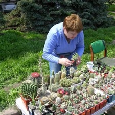 Выставка 19-20 апреля 2008 (Одесса)