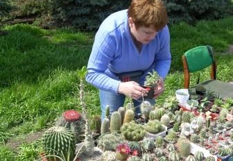 Выставка 19-20 апреля 2008 (Одесса)