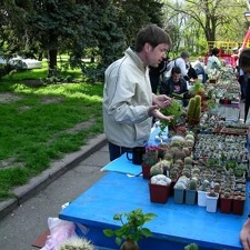 Выставка 19-20 апреля 2008 (Одесса)