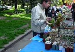 Выставка 19-20 апреля 2008 (Одесса)