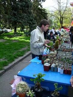 Выставка 19-20 апреля 2008 (Одесса)