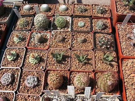 Выставка 19-20 апреля 2008 (Одесса)