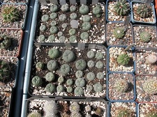 Выставка 19-20 апреля 2008 (Одесса)