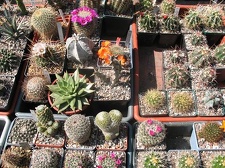 Выставка 19-20 апреля 2008 (Одесса)