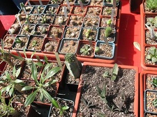 Выставка 19-20 апреля 2008 (Одесса)