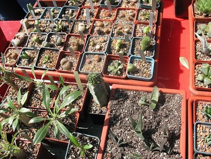 Выставка 19-20 апреля 2008 (Одесса)