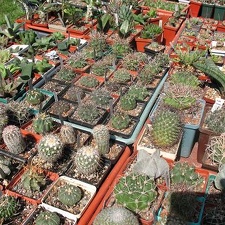 Выставка 19-20 апреля 2008 (Одесса)