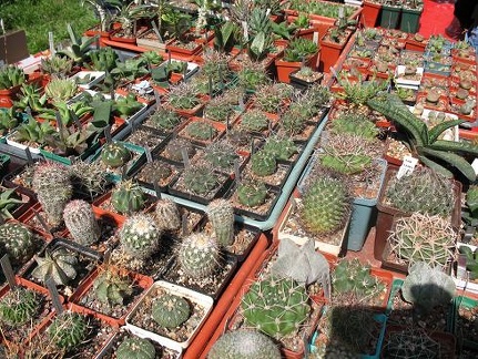 Выставка 19-20 апреля 2008 (Одесса)