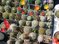 Выставка 19-20 апреля 2008 (Одесса)