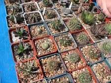 Выставка 19-20 апреля 2008 (Одесса)