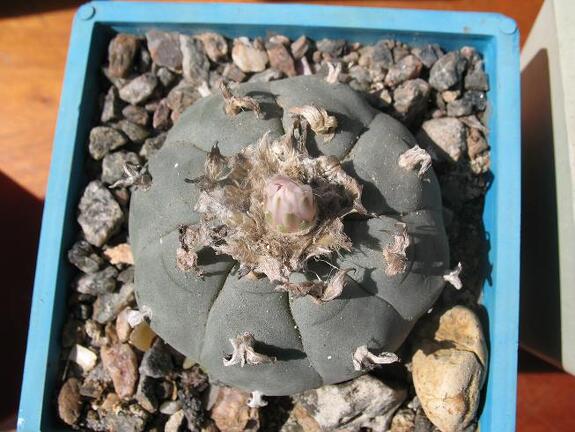 Выставка 19-20 апреля 2008 (Одесса)