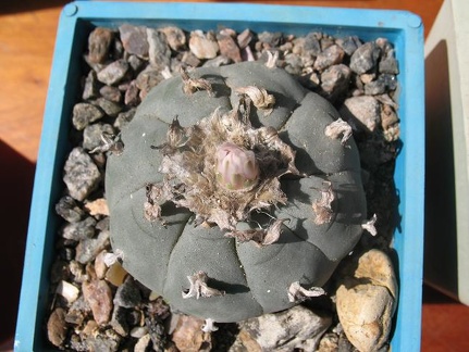 Выставка 19-20 апреля 2008 (Одесса)