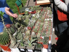 Выставка 19-20 апреля 2008 (Одесса)