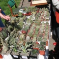 Выставка 19-20 апреля 2008 (Одесса)