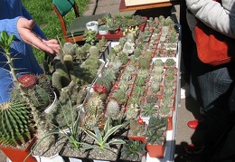 Выставка 19-20 апреля 2008 (Одесса)