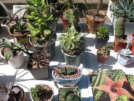 Выставка 19-20 апреля 2008 (Одесса)