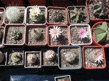 Выставка 19-20 апреля 2008 (Одесса)