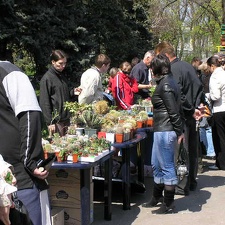 Выставка 19-20 апреля 2008 (Одесса)