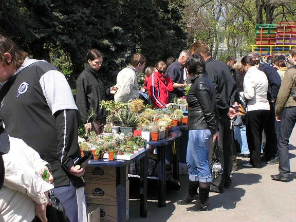 Выставка 19-20 апреля 2008 (Одесса)