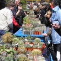 Выставка 19-20 апреля 2008 (Одесса)