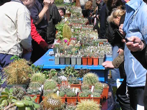 Выставка 19-20 апреля 2008 (Одесса)