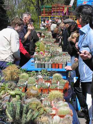 Выставка 19-20 апреля 2008 (Одесса)