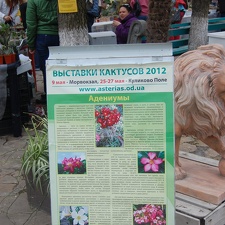 Выставка 20-22.04.2012 в &quot;Ваш сад&quot;