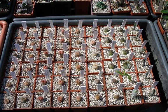 Выставка 20-22.04.2012 в &quot;Ваш сад&quot;