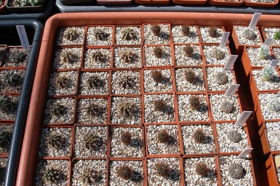 Выставка 20-22.04.2012 в &quot;Ваш сад&quot;