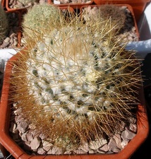 Выставка 20-22.04.2012 в &quot;Ваш сад&quot;