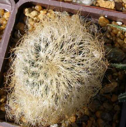 Выставка 20-22.04.2012 в &quot;Ваш сад&quot;