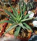 Выставка 20-22.04.2012 в &quot;Ваш сад&quot;