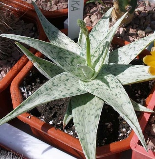 Выставка 20-22.04.2012 в &quot;Ваш сад&quot;