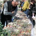 Выставка 20-22.04.2012 в &quot;Ваш сад&quot;