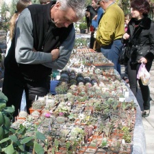 Выставка 20-22.04.2012 в &quot;Ваш сад&quot;
