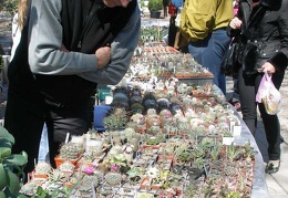 Выставка 20-22.04.2012 в &quot;Ваш сад&quot;