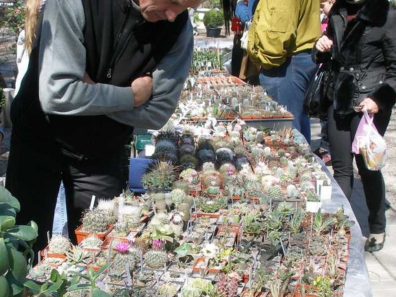 Выставка 20-22.04.2012 в &quot;Ваш сад&quot;