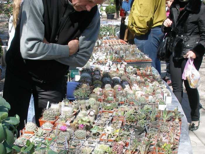 Выставка 20-22.04.2012 в &quot;Ваш сад&quot;