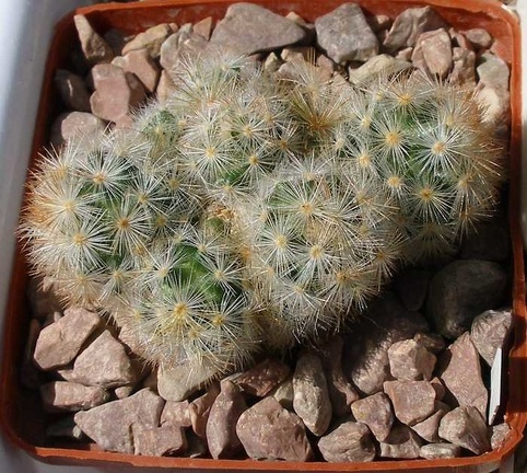 Выставка 20-22.04.2012 в &quot;Ваш сад&quot;