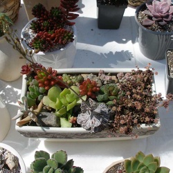 Одесса 20-22.04.2012