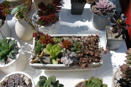 Выставка 20-22.04.2012 в &quot;Ваш сад&quot;