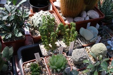 Выставка 20-22.04.2012 в &quot;Ваш сад&quot;