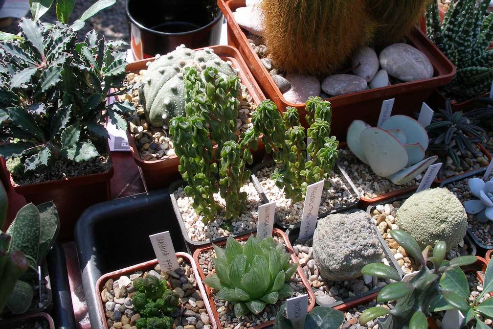 Выставка 20-22.04.2012 в &quot;Ваш сад&quot;