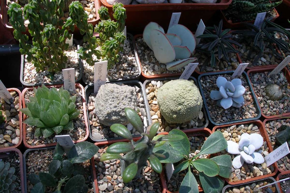 Выставка 20-22.04.2012 в &quot;Ваш сад&quot;