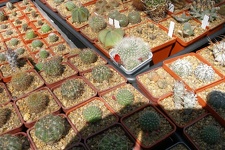 Выставка 20-22.04.2012 в &quot;Ваш сад&quot;