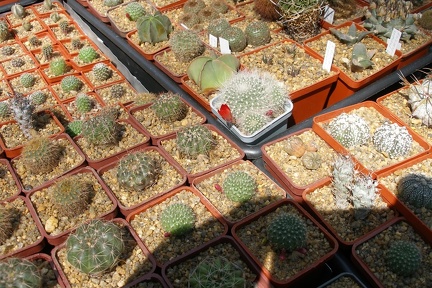 Выставка 20-22.04.2012 в &quot;Ваш сад&quot;